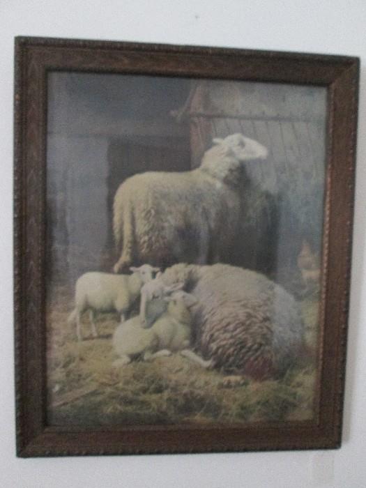 Framed lamb print