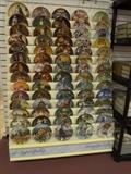 Bradford Exchange, Knowles & other collector plates with original boxes (we will be considering offers on the complete collection of plates)