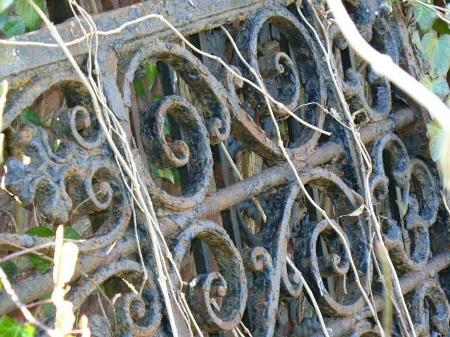 Antique Wrought Iron Gate & Doors - closeup
