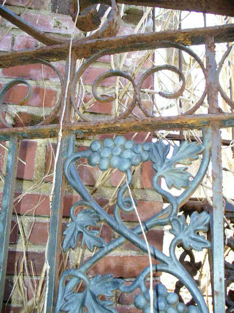 Wrought Iron Gate & Doors - closeup