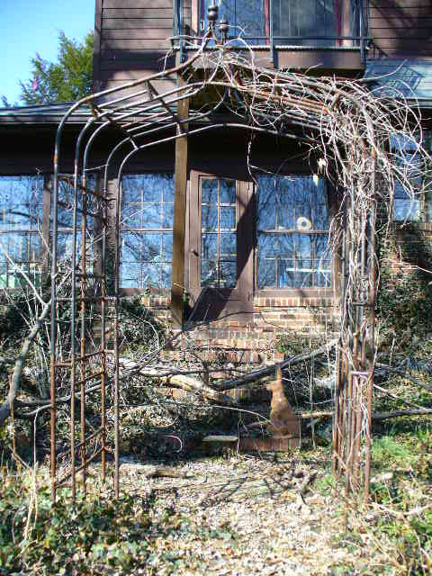 Garden Arch Wrought iron trellis