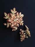 Wonderful Broach and Earrings
