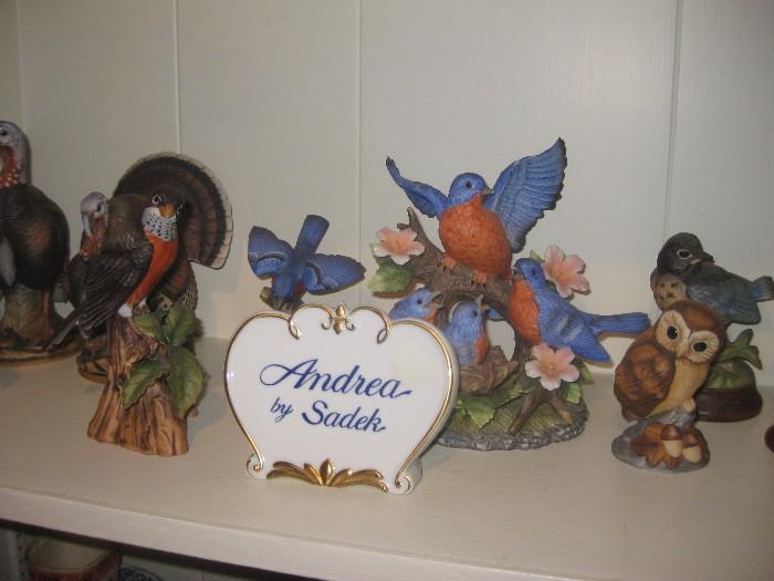 Andrea Birds