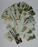 C.1910's 300 Plus Linen Postcards