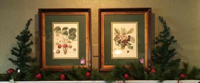 Pair of botanical prints.