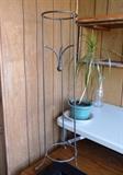 Iron Plant Stand