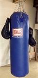 Everlast Heavy Boxing Bag with Gloves