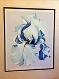 Signed and editioned Iris 