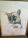 Cougar print