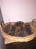 PINE CONES