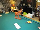 pool table