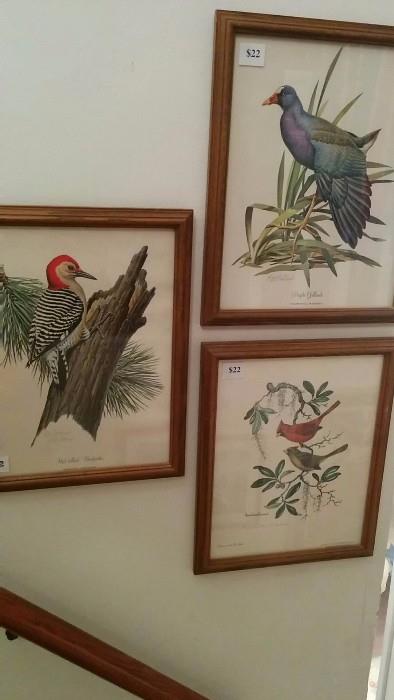 Bird "art" collection, by three different artists 