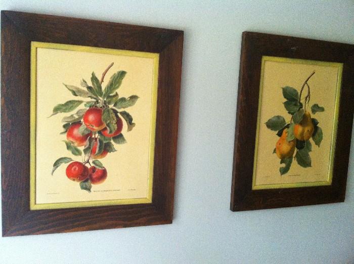 fruit prints