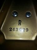 serial # for piano