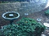 Birdbath for sale