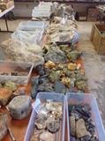 Tables full of rock, fossils, and minerals.