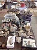 Tables of fossils, rocks, and minerals.