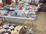 Tables full of fossils, rocks, and minerals.