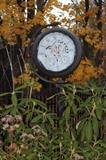 Garden Clock
