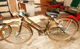 Schwinn Suburban