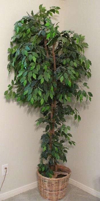 Silk 8' Ficus Tree in Basket Planter