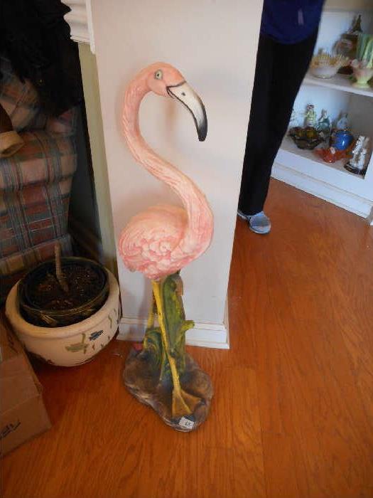 Flamingo