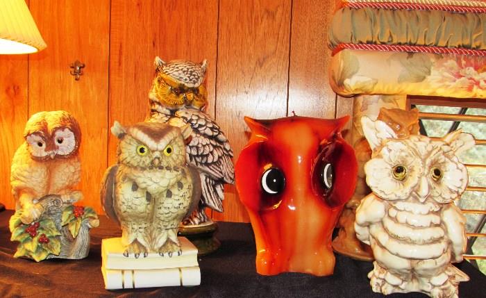 Owls.....for those how give a Hoot.....