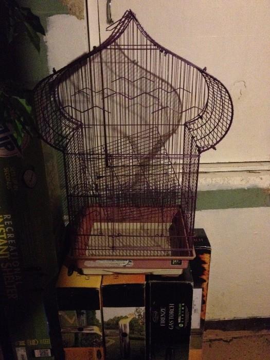 exotic bird cage