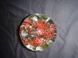 Glass paper weights
