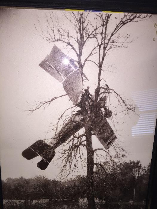 Interesting photo of early plane in tree, crashed