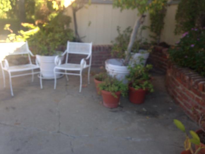 white iron patio furniture, potted plants