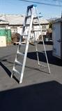 12' Aluminum Ladder