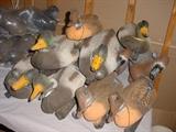 Some of the MANY field duck decoys