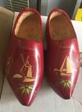 Dutch Shoes