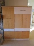 Techline custom cabinets