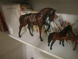 HORSES AND BOOKS