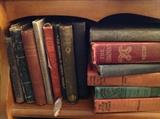 Another picture showing you the age and assortment of books you can find at this sale.