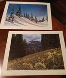 Two Countryside prints showing the seasonal change.