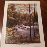 Beautiful Mountain Stream print.