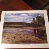 Another print taken in USA showing Lily Pads on top of the water.