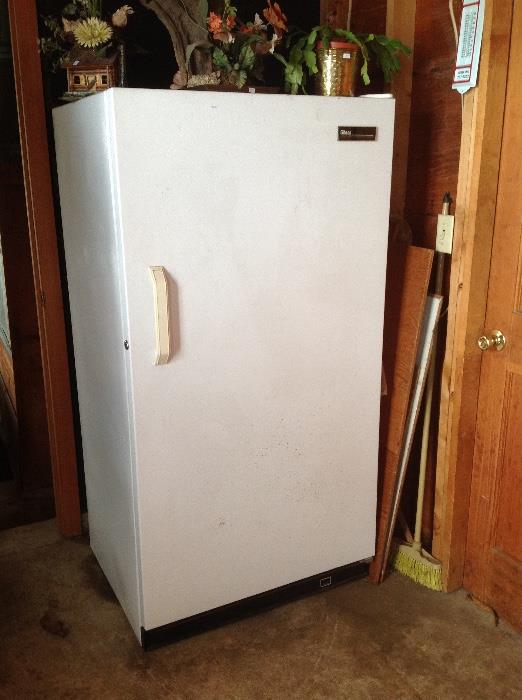 Upright Gibson Frost Free Commercial Freezer. Has a lock with keys.  Very nice.