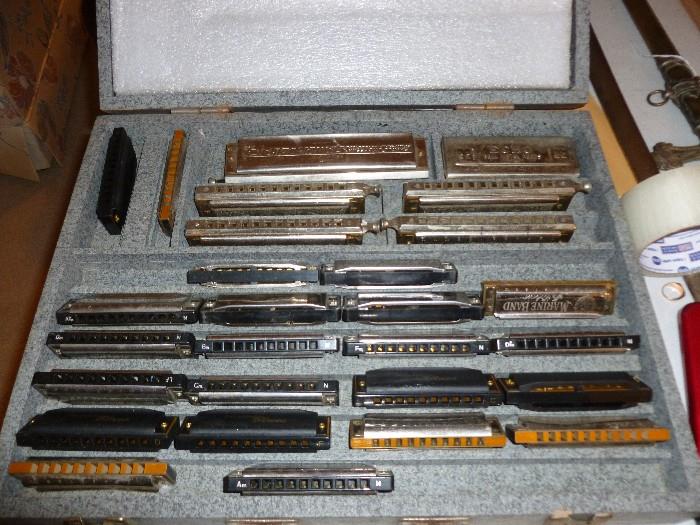 Collection of Harmonicas