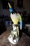 19th c. Meissen Parrot (as is)