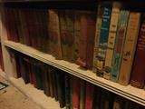 Large collection of old books