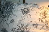 Queen Duvet and shams,100% cotton, black and white botanical toile.