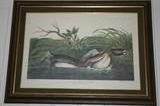John James Audubon Amsterdam and Boehm bird prints.