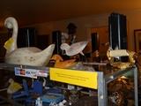 decoys, military sword, etc.