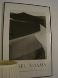 ANSEL ADAMS POSTER
