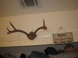 DEER ANTLERS