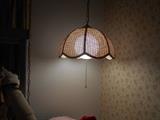 Mid-Century hanging lamp